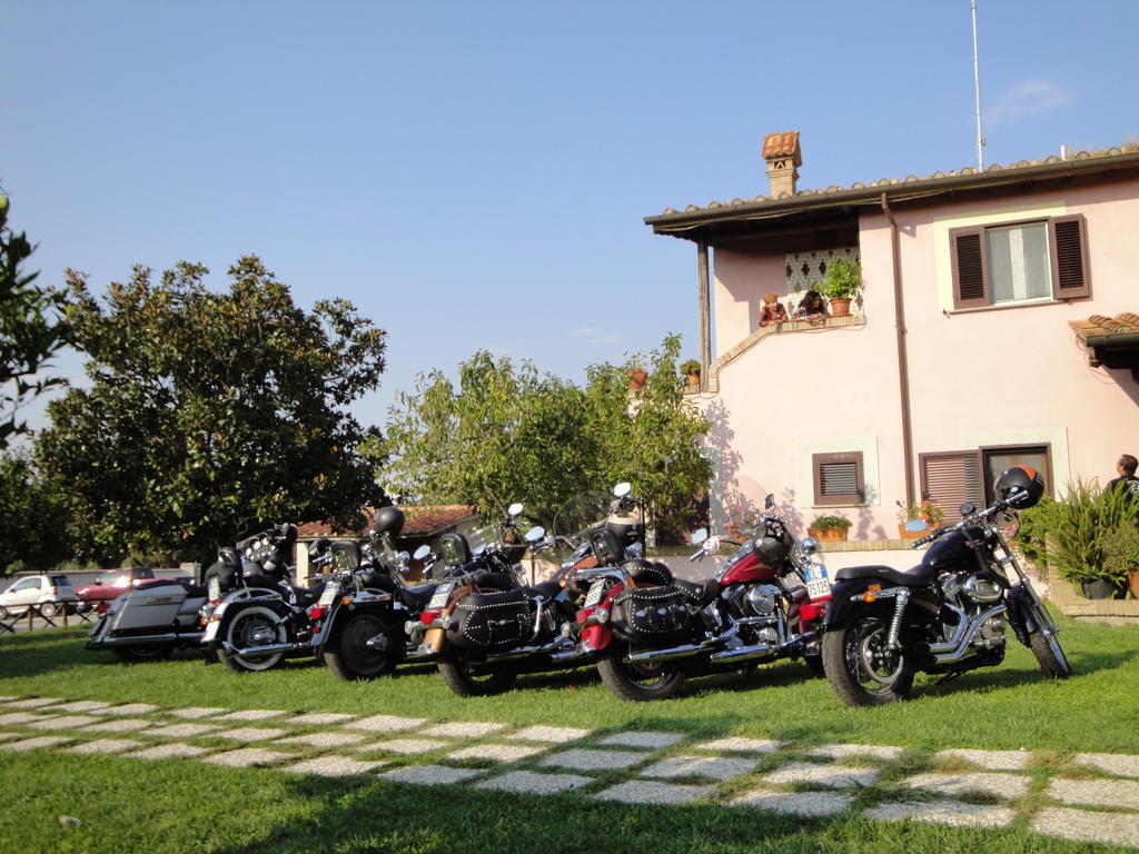 Agriturismo La Valle Di Ceri Cerveteri Ngoại thất bức ảnh