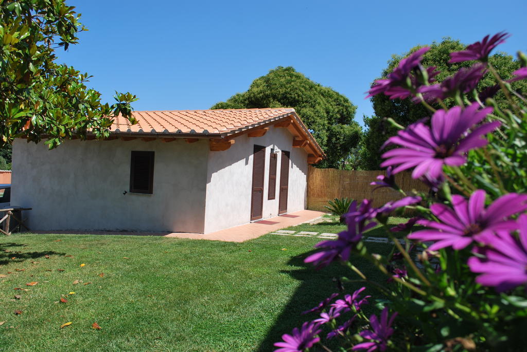 Agriturismo La Valle Di Ceri Cerveteri Ngoại thất bức ảnh