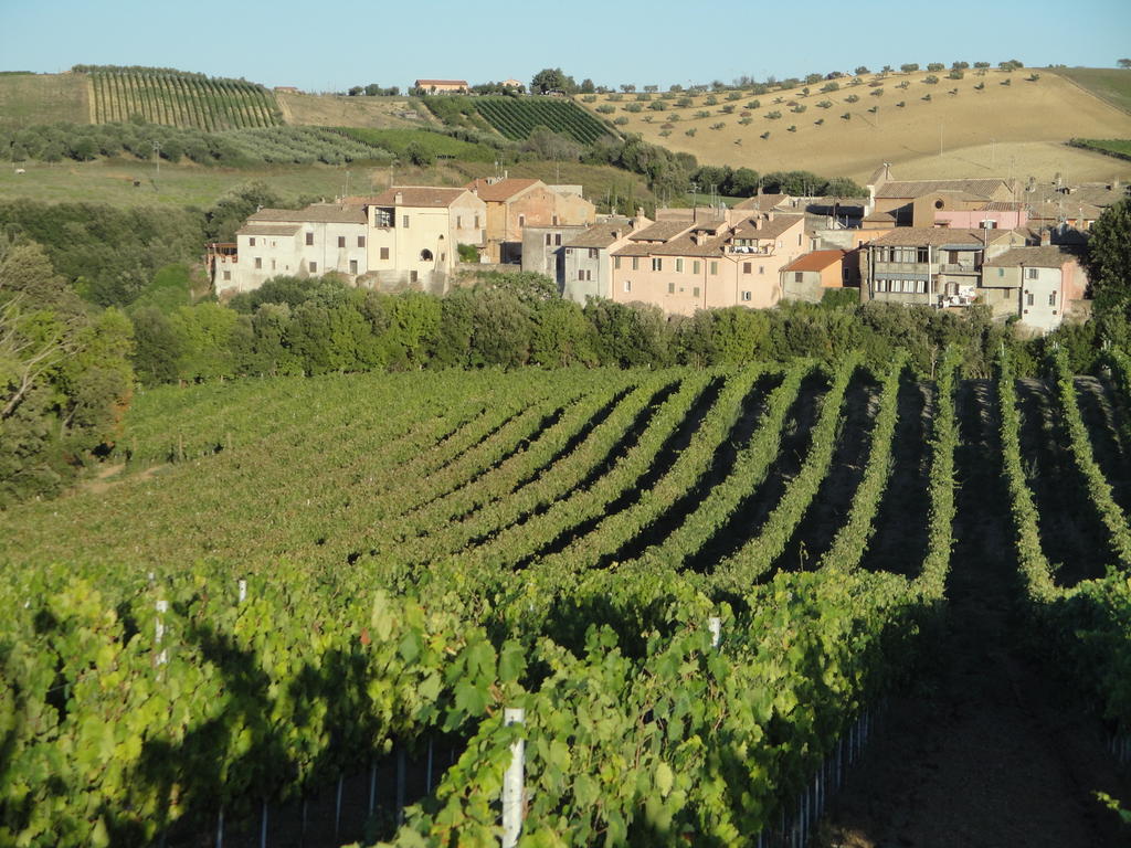 Agriturismo La Valle Di Ceri Cerveteri Ngoại thất bức ảnh